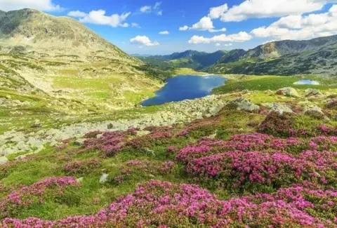 Rediscover the Perfect Natural Setting of the Retezat Mountains