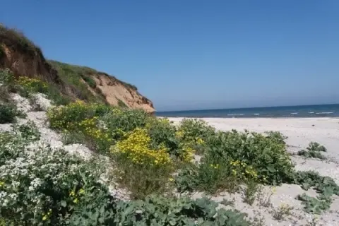 Holiday on the Coast? Find Out the Most Interesting Places
