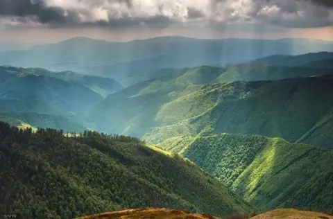 The Authentic Beauty of the Carpathian Mountains
