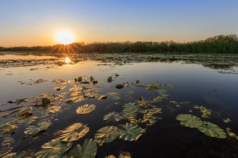 What to see in Murighiol, Danube Delta