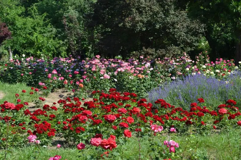 City Break in Bucharest? Find Out What You Can Visit!