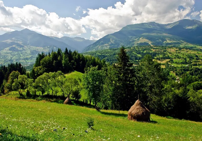 Holiday in Bacău? Find Out the Main Sights!