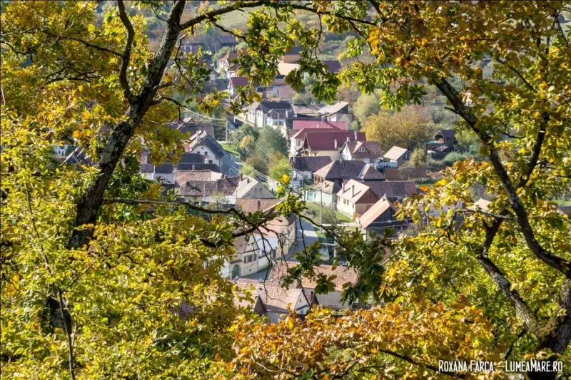 4. Sibiu