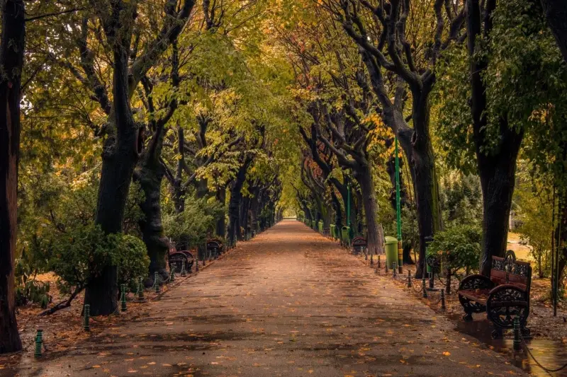 3. Cișmigiu Park