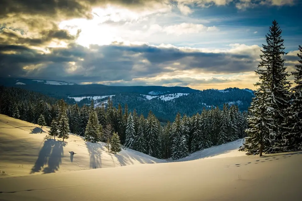 A List of the Most Important Sights in Vatra Dornei