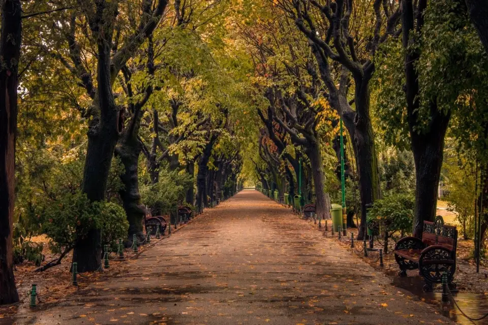 Where Do You Find the Most Enchanting Autumn Scenery?