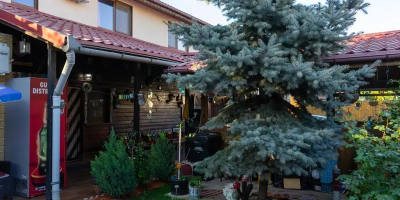 Casa Karol, photo 1 of 62
