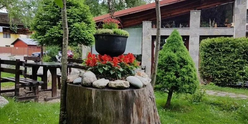 Liziera, photo 3 of 71